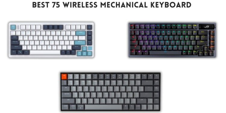 Best Mechanical Keyboard for Gaming Under 100